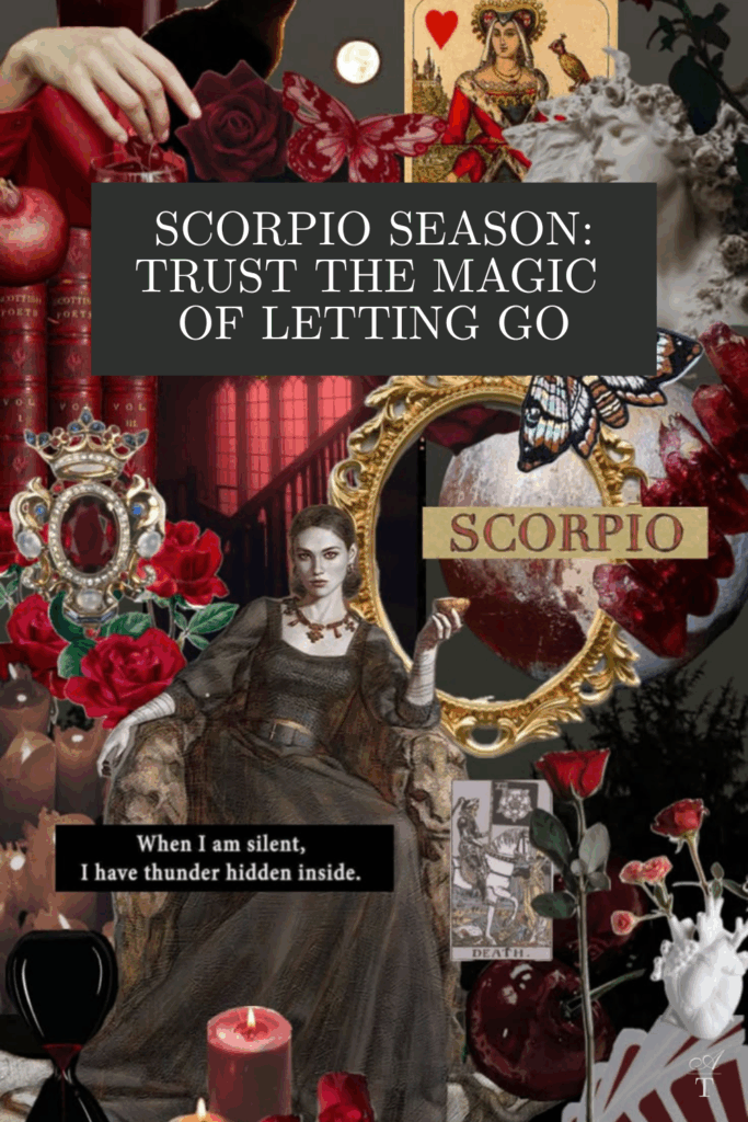 A beautiful aesthic mix of scorpio season energy, think deep and brooding with deep reds, mysticism symbolism.