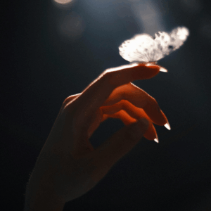 Coaching & 1:1 Sessions